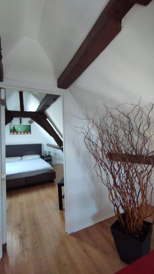 Apartamento The 16Th Century Duplex In The City Center Amberes Exterior foto